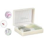 Basic Botany Models Slide Set of 25